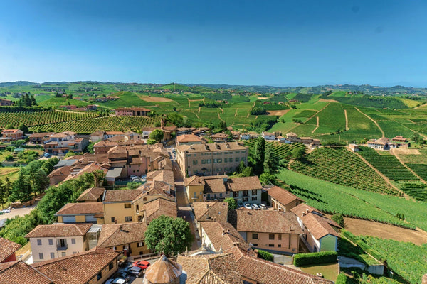 Klassiska rätter från Piemonte och vilket vin som passar till