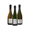 Blanc de Blancs Selection