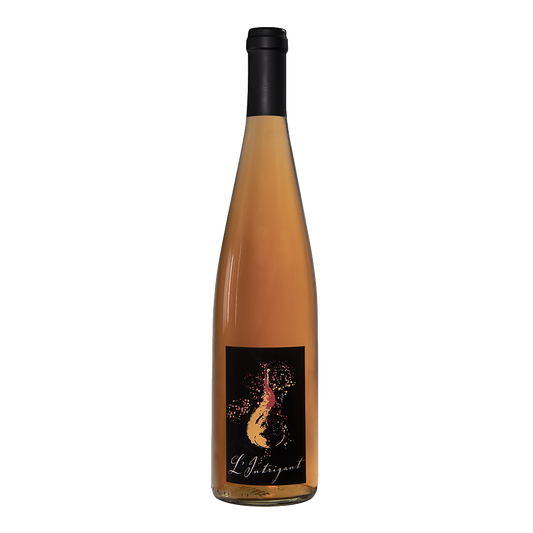 Michel Fonné L’Intrigant NV